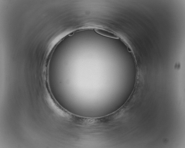 X0000112041003200908031512