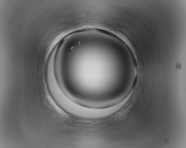 X0000112041005200908031512