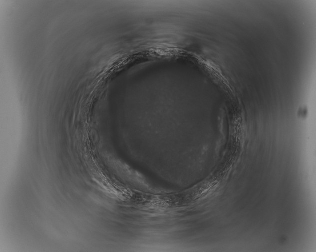 X0000112041009200908031511