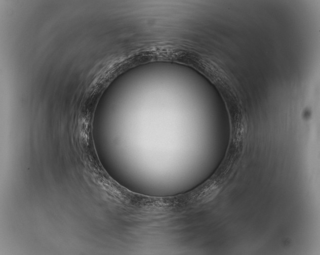 X0000112041010200908031511