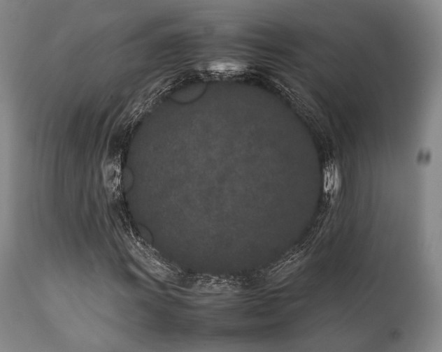 X0000112041011200908031511