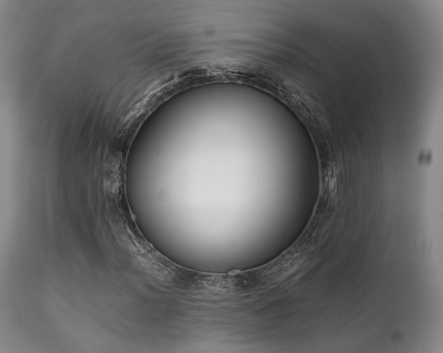 X0000112041012200908031511