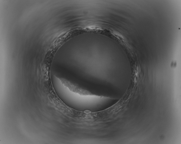 X0000112041013200908031511