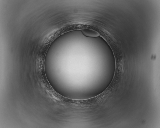 X0000112041014200908031511