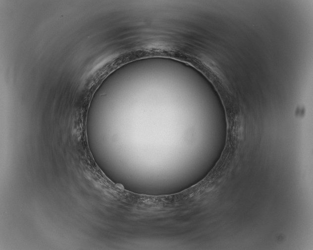 X0000112041015200908031511