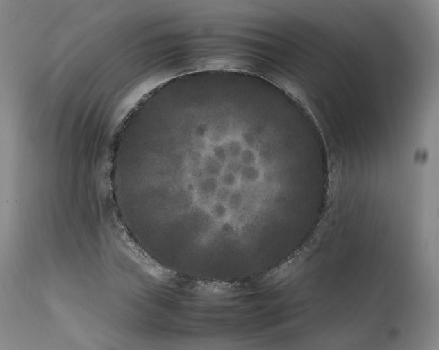 X0000112041019200908031511