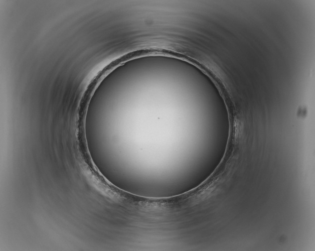 X0000112041020200908031511