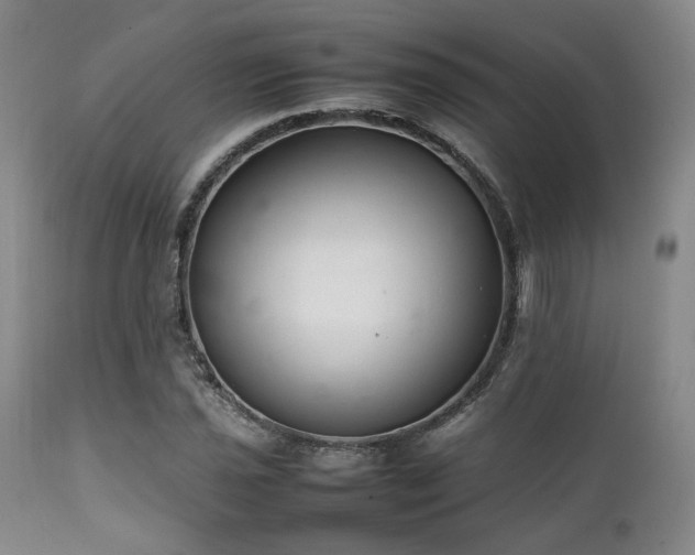 X0000112041021200908031511