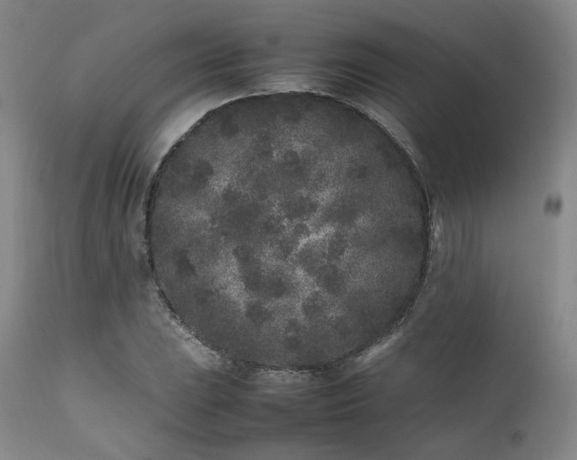 X0000112041023200908031512