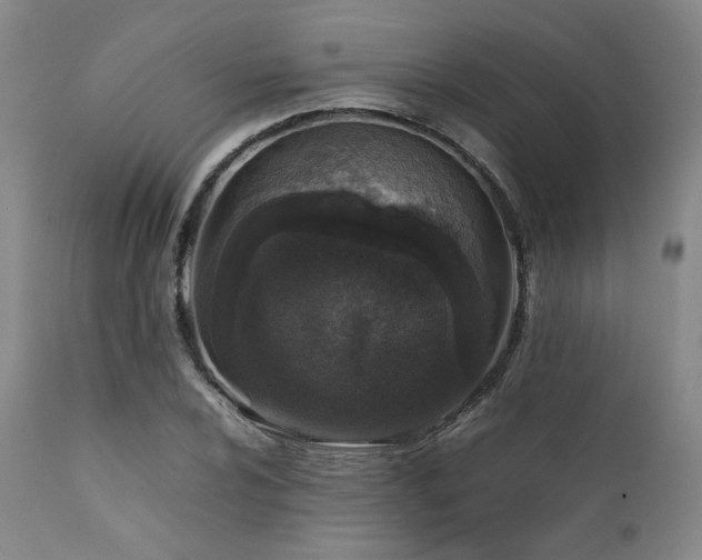 X0000112041024200908031512