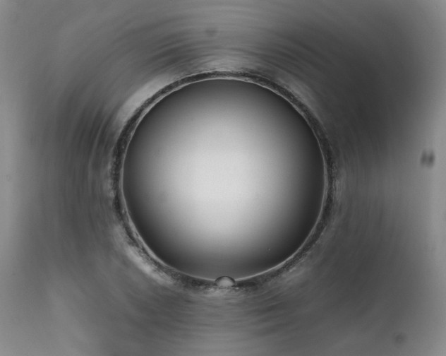 X0000112041026200908031512