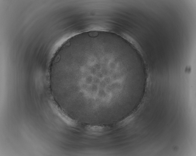 X0000112041027200908031512
