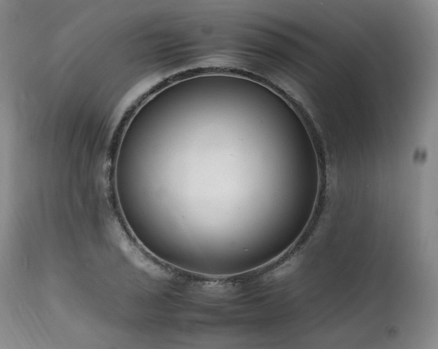 X0000112041029200908031512