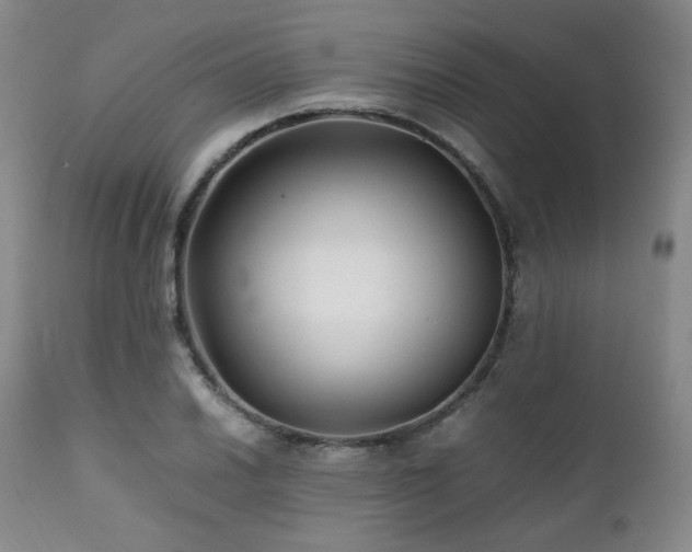 X0000112041030200908031512