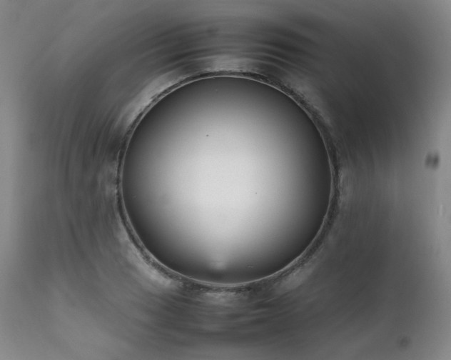 X0000112041033200908031512