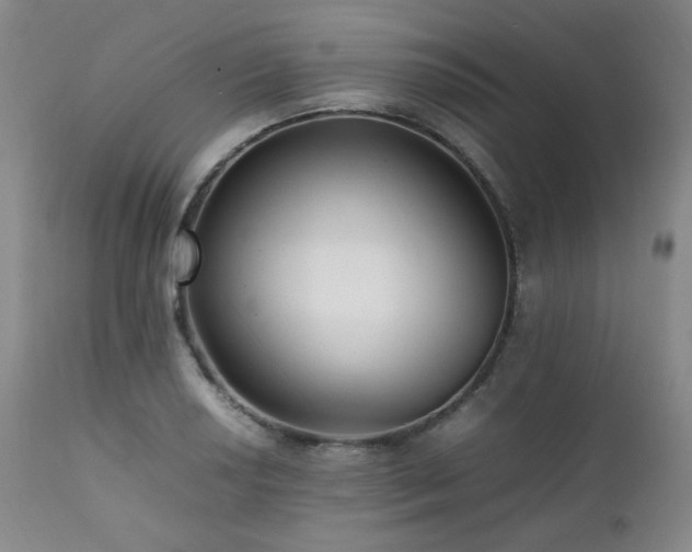 X0000112041034200908031512