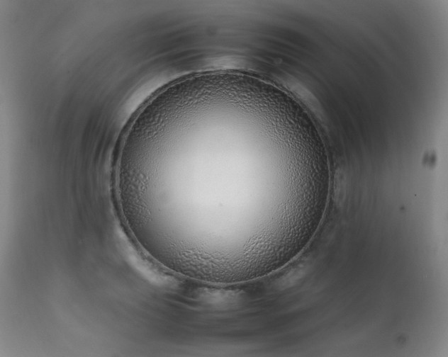 X0000112041039200908031512