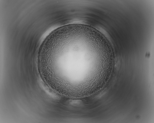 X0000112041043200908031512
