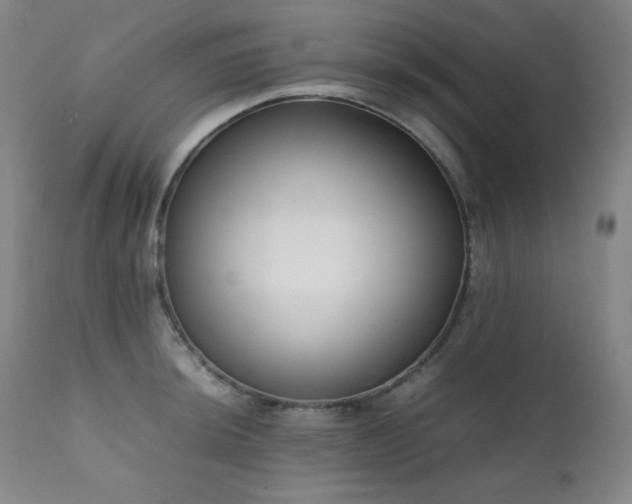 X0000112041044200908031512
