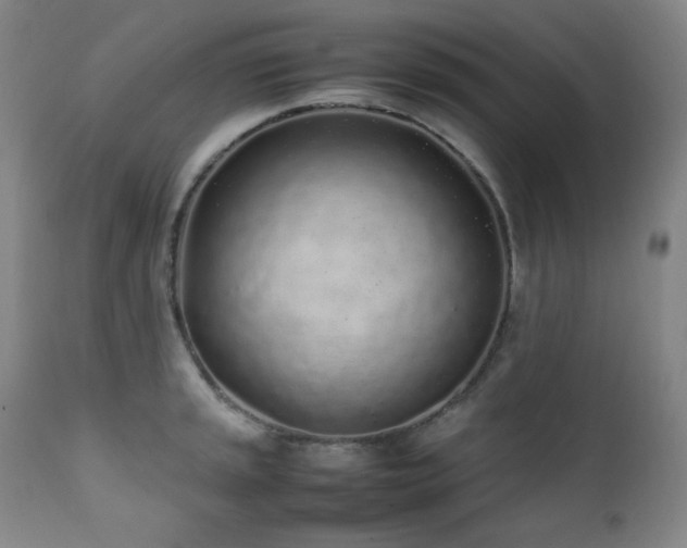 X0000112041045200908031512