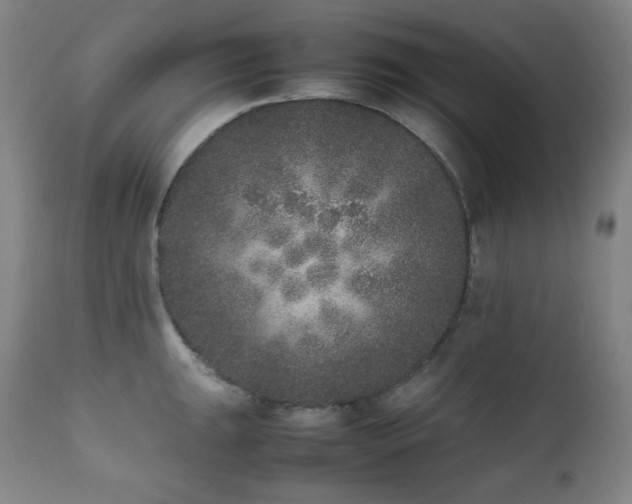 X0000112041047200908031512