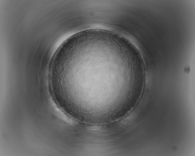 X0000112041048200908031512