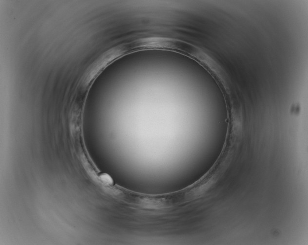 X0000112041049200908031512