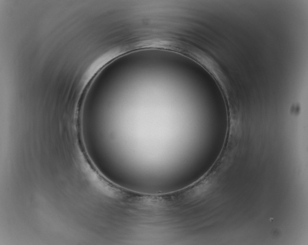 X0000112041050200908031512