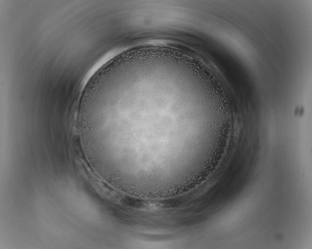 X0000112041052200908031512