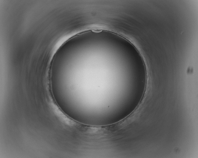 X0000112041056200908031512