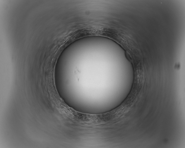 X0000112041057200908031511