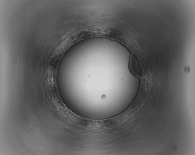 X0000112041058200908031511
