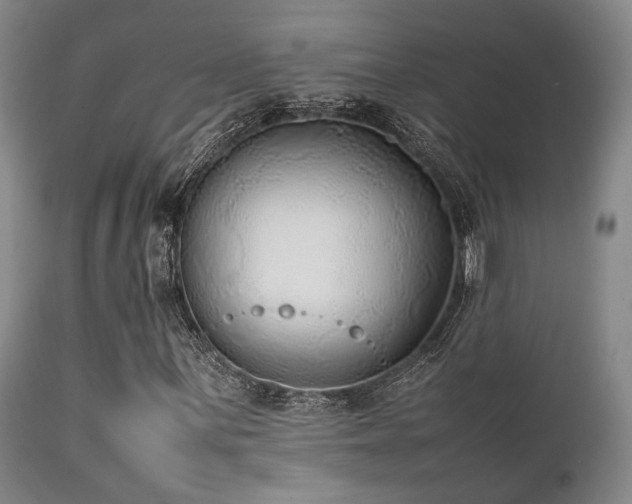 X0000112041059200908031511
