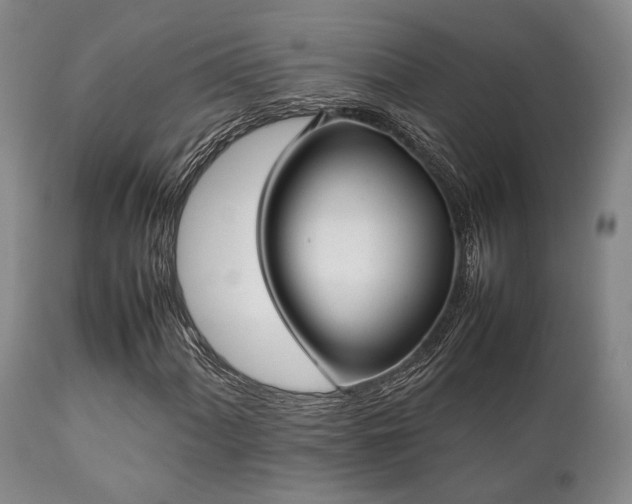 X0000112041060200908031511