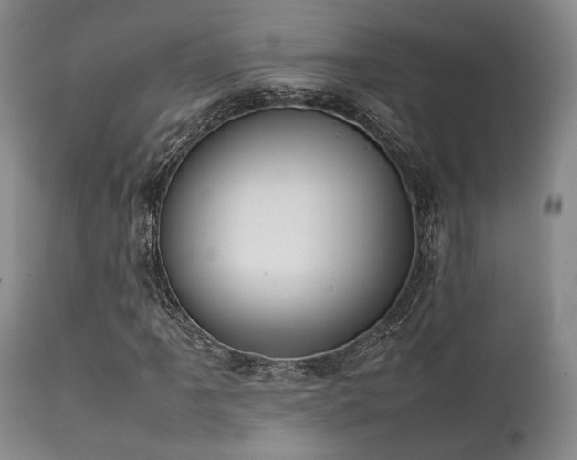 X0000112041061200908031511