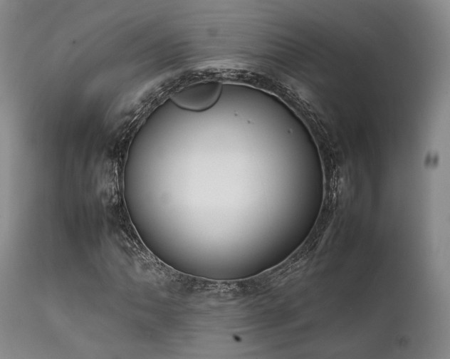 X0000112041062200908031511