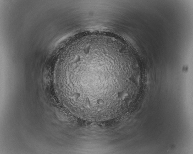X0000112041063200908031511
