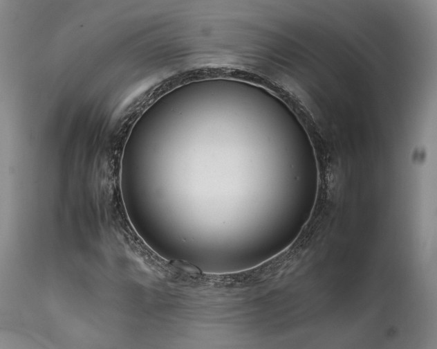 X0000112041064200908031511
