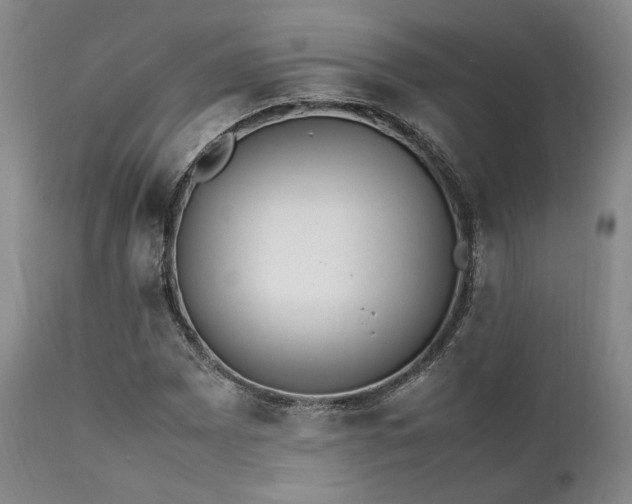 X0000112041065200908031511