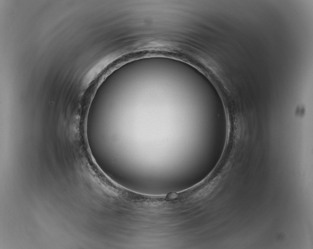 X0000112041066200908031511