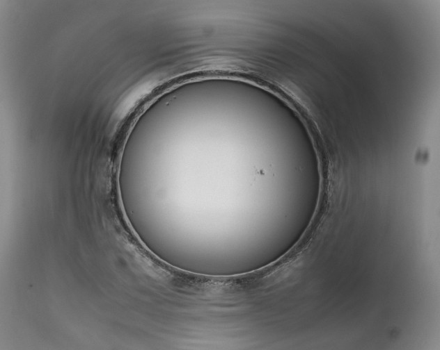 X0000112041067200908031511