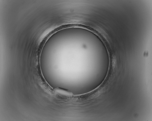 X0000112041069200908031511