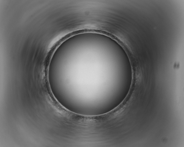 X0000112041070200908031511