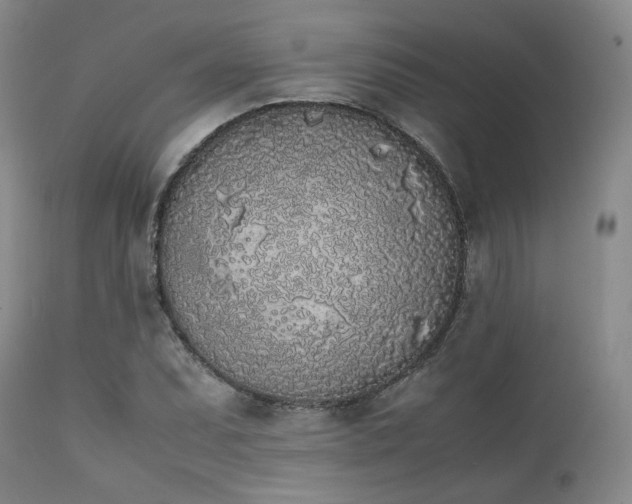 X0000112041071200908031511