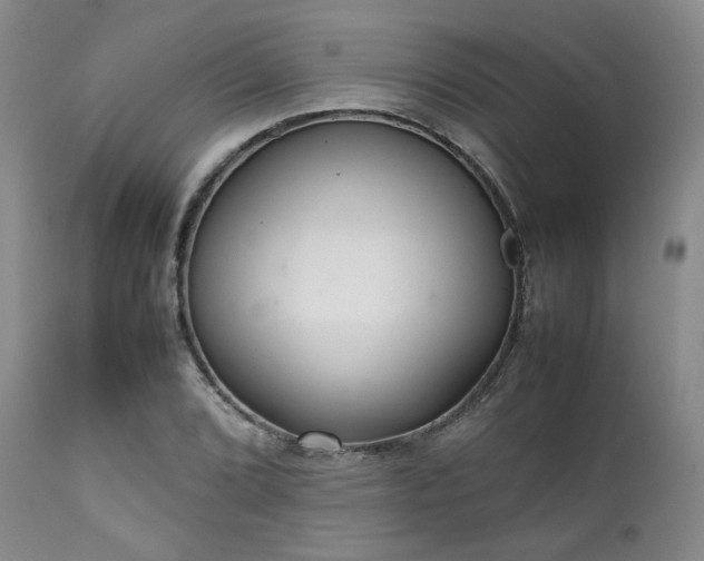 X0000112041072200908031511
