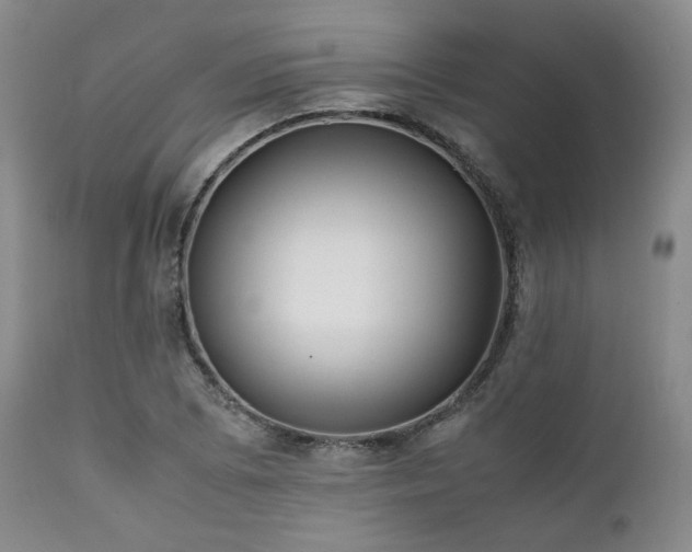X0000112041073200908031511