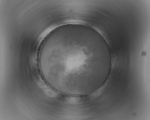 X0000112041074200908031511