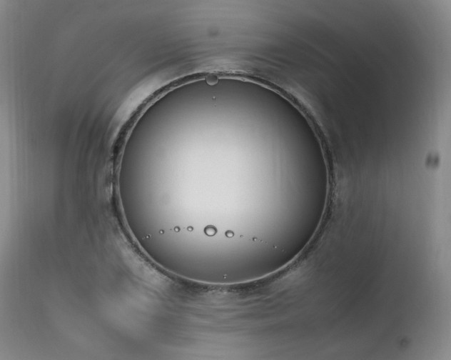 X0000112041075200908031511