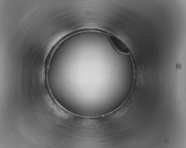 X0000112041076200908031511