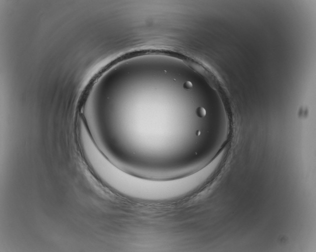X0000112041077200908031511